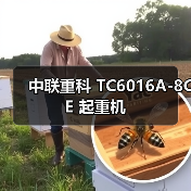 中联重科 TC6016A-8CE 起重机