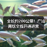 全长约200公里！广汕高铁全线开通运营