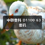 中联重科 D1100-63 起重机
