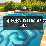 中联重科 D1100-63 起重机