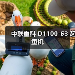 中联重科 D1100-63 起重机