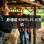 路得威 RWYL35 压路机