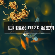 四川建设 D120 起重机