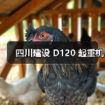 四川建设 D120 起重机