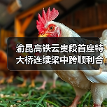 渝昆高铁云贵段首座特大桥连续梁中跨顺利合龙