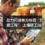 助力打造东方枢纽“超级工程” 上海建工加速推进工程建设