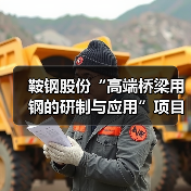 鞍钢股份“高端桥梁用钢的研制与应用”项目成果通过中钢协鉴定