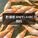 路得威 RWYL34BC 压路机
