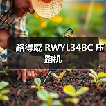 路得威 RWYL34BC 压路机
