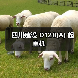 四川建设 D120(A) 起重机