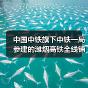 中国中铁旗下中铁一局参建的潍烟高铁全线铺轨贯通！