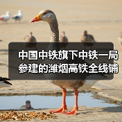 中国中铁旗下中铁一局参建的潍烟高铁全线铺轨贯通！