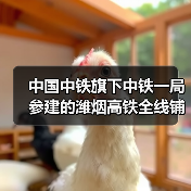 中国中铁旗下中铁一局参建的潍烟高铁全线铺轨贯通！