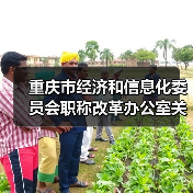 重庆市经济和信息化委员会职称改革办公室关于组织开展2023年全市工程技术工业设计专业职称申报评审工作的通知