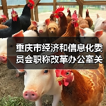 重庆市经济和信息化委员会职称改革办公室关于组织开展2023年全市工程技术工业设计专业职称申报评审工作的通知