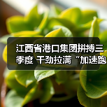 江西省港口集团拼搏三季度 干劲拉满“加速跑”