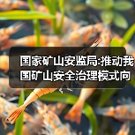 国家矿山安监局:推动我国矿山安全治理模式向事前预防转型