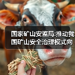 国家矿山安监局:推动我国矿山安全治理模式向事前预防转型