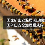 国家矿山安监局:推动我国矿山安全治理模式向事前预防转型