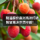 隧道股份嘉浏高速打造智慧高速示范样板！