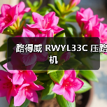 路得威 RWYL33C 压路机