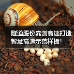 隧道股份嘉浏高速打造智慧高速示范样板！