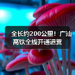 全长约200公里！广汕高铁全线开通运营