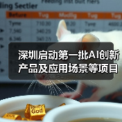 深圳启动第一批AI创新产品及应用场景等项目需求征集！