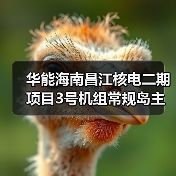 华能海南昌江核电二期项目3号机组常规岛主行车吊装就位