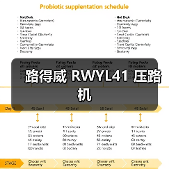 路得威 RWYL41 压路机