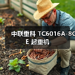 中联重科 TC6016A-8CE 起重机