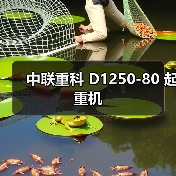 中联重科 D1250-80 起重机