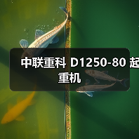 中联重科 D1250-80 起重机