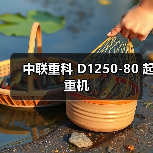 中联重科 D1250-80 起重机