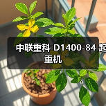 中联重科 D1400-84 起重机