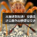 从制造到智造！安徽高速公路为加快建设交通强国提供助力