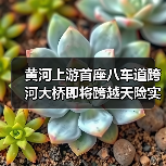 黄河上游首座八车道跨河大桥即将跨越天险实现“牵手”