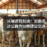 从制造到智造！安徽高速公路为加快建设交通强国提供有力支撑
