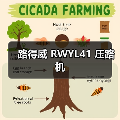 路得威 RWYL41 压路机
