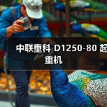 中联重科 D1250-80 起重机