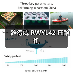 路得威 RWYL42 压路机
