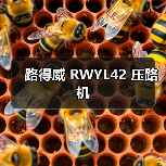 路得威 RWYL42 压路机