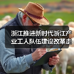 浙江推进新时代浙江产业工人队伍建设改革走深走实