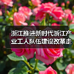 浙江推进新时代浙江产业工人队伍建设改革走深走实