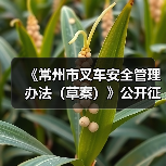 《常州市叉车安全管理办法（草案）》公开征求意见！