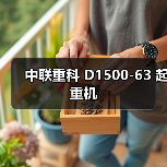 中联重科 D1500-63 起重机