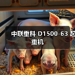 中联重科 D1500-63 起重机