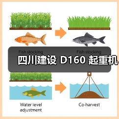 四川建设 D160 起重机