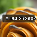 四川建设 D160 起重机