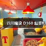 四川建设 D160 起重机